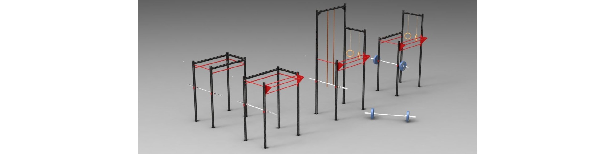 Cross fit rigs for Home Use